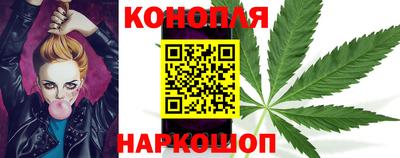 сатива Краснознаменск