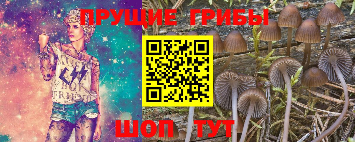 Галлюциногенные грибы Psilocybe  Псилоцибиновые грибы Psilocybe  Вход с VPN  Зима 