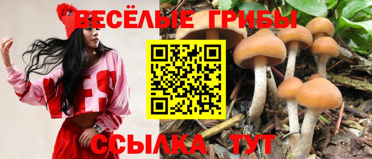 Галлюциногенные грибы ЛСД Зима